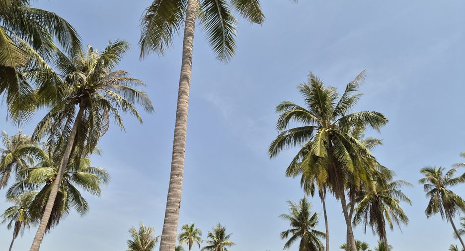 Grundstück zum Kauf in Mueang Prachuap Khiri Khan, Prachuap Khiri Khan