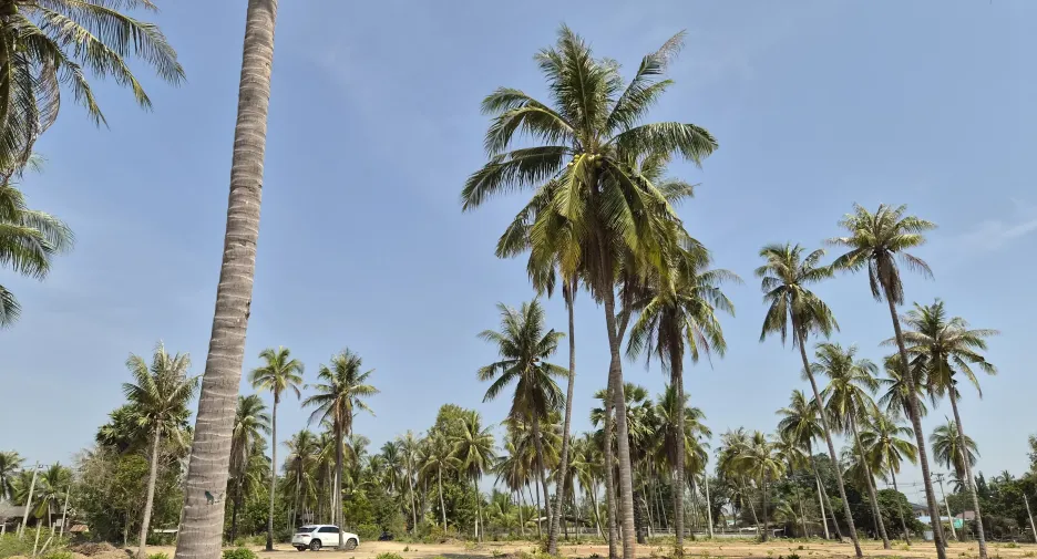 Grundstück zum Kauf in Mueang Prachuap Khiri Khan, Prachuap Khiri Khan