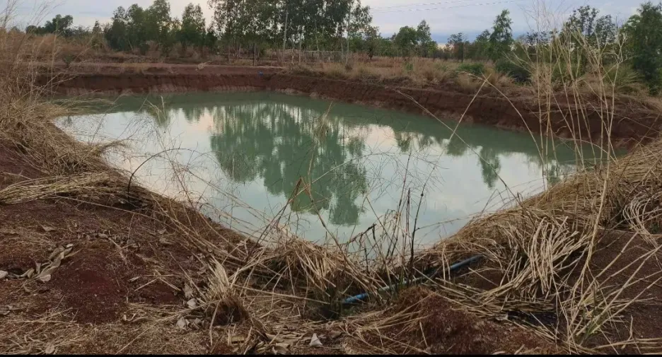 For sale land in Charoen Sin, Sakon Nakhon