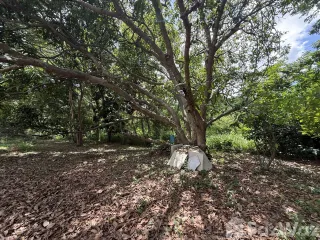 Terreno en venta en Hua Hin, Prachuap Khiri Khan