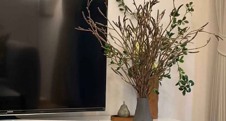 Продажа 1 кровать кондо в Щаттхана, Бангкок