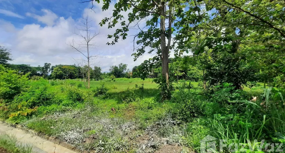 For sale land in San Kamphaeng, Chiang Mai