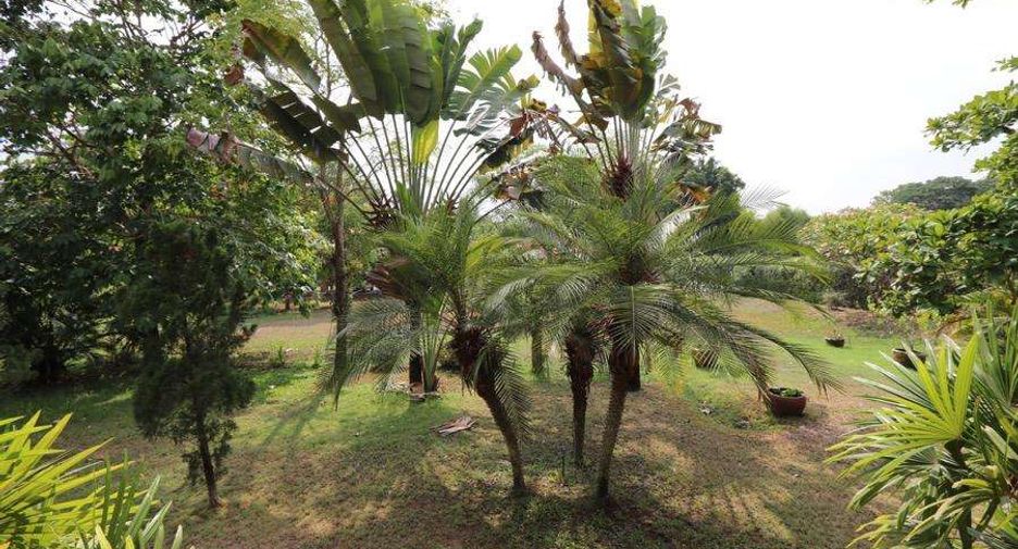 For rent 2 bedrooms house in San Sai, Chiang Mai