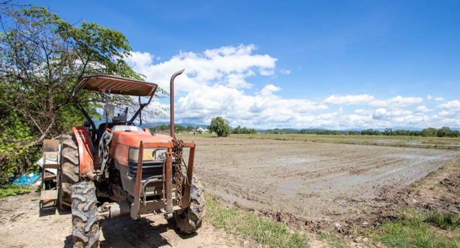 For sale 4 bedrooms house in Mae Rim, Chiang Mai