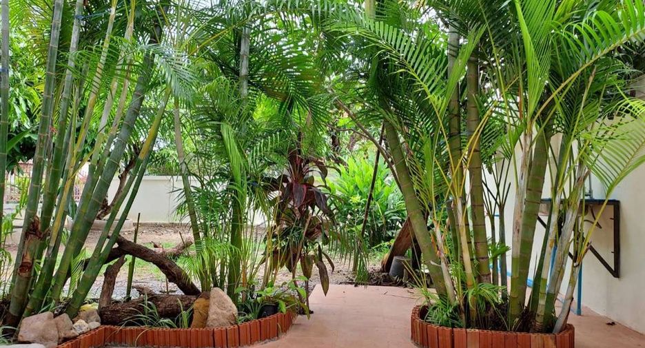 For rent 3 bedrooms house in Mae Rim, Chiang Mai