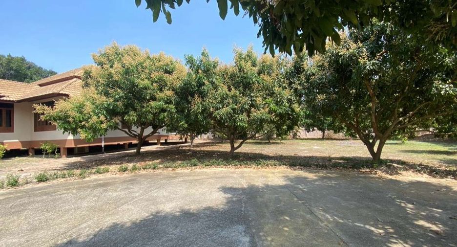 For rent 4 bedrooms house in San Sai, Chiang Mai