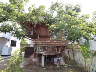 For rent 3 bedrooms house in San Sai, Chiang Mai