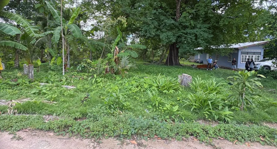 ขาย ที่ดิน ใน ถลาง, ภูเก็ต