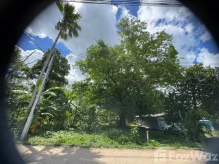 出售 土地 在 塔朗, 普吉