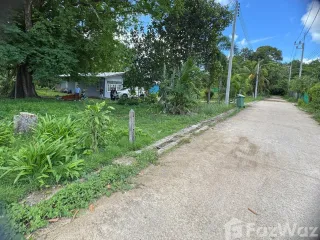 出售 土地 在 塔朗, 普吉
