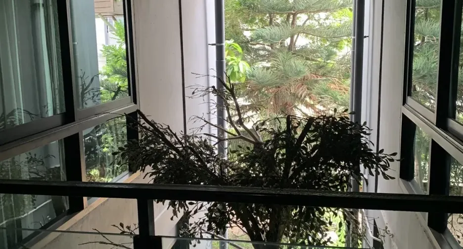 Condo en alquiler de 1 habitaciones en Hua Hin, Prachuap Khiri Khan