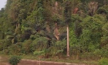 For sale land in Mueang Krabi, Krabi