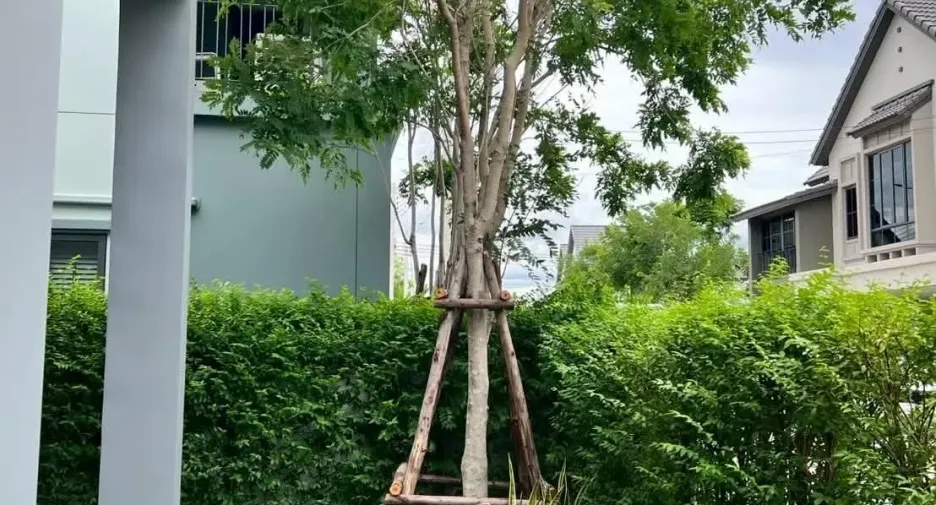 ให้เช่า 4 ห้องนอน บ้านเดี่ยว ใน บางใหญ่, นนทบุรี
