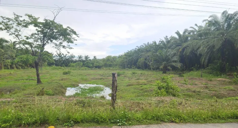 ขาย ที่ดิน ใน ละแม, ชุมพร