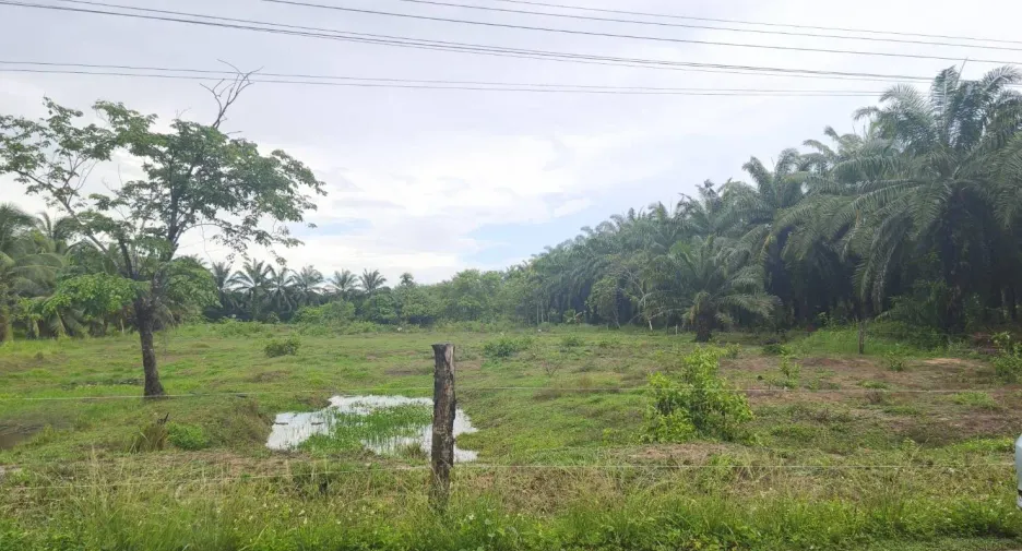 ขาย ที่ดิน ใน ละแม, ชุมพร