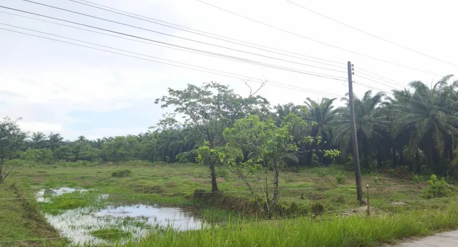 ขาย ที่ดิน ใน ละแม, ชุมพร