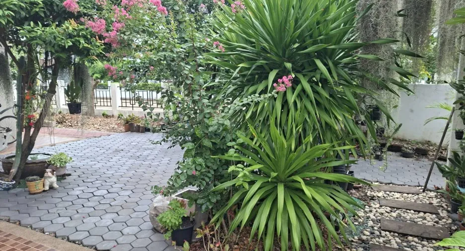Продажа 3 спальни дом в Mueang Khon Kaen, Кхонкен