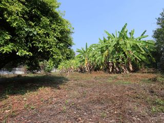 出售 土地 在 Mueang Chiang Mai, Chiang Mai