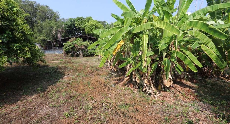 出售 土地 在 Mueang Chiang Mai, Chiang Mai