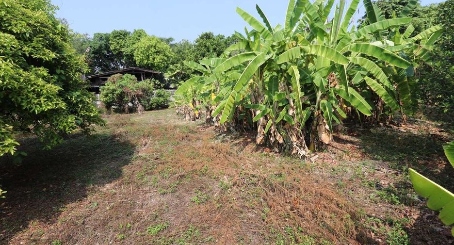 出售 土地 在 Mueang Chiang Mai, Chiang Mai