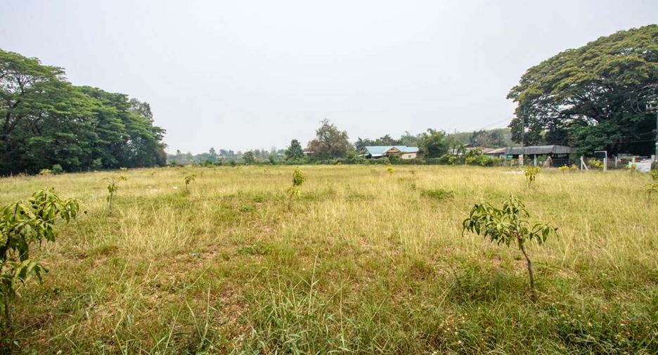 出售 土地 在 San Kamphaeng, Chiang Mai