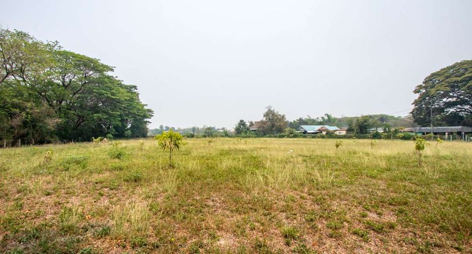 出售 土地 在 San Kamphaeng, Chiang Mai