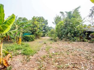 出售 土地 在 Hang Dong, Chiang Mai