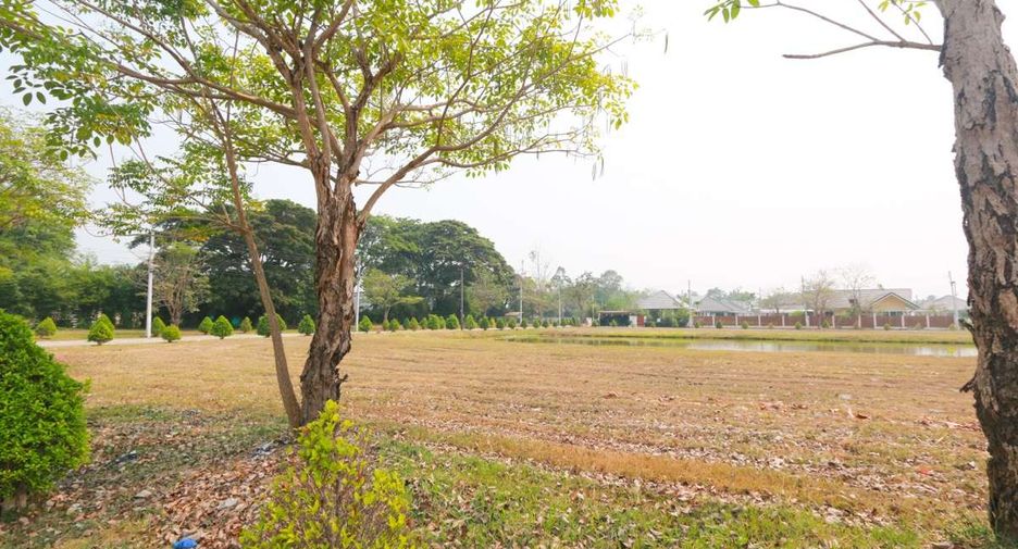 Terreno en venta en Doi Saket, Chiang Mai