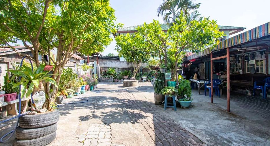 出售 土地 在 Mueang Chiang Mai, Chiang Mai