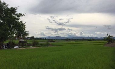 Grundstück zum Kauf in Hang Dong, Chiang Mai