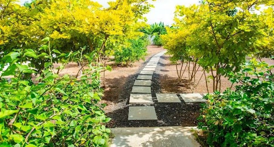 ขาย ที่ดิน ใน หนองกี่, บุรีรัมย์