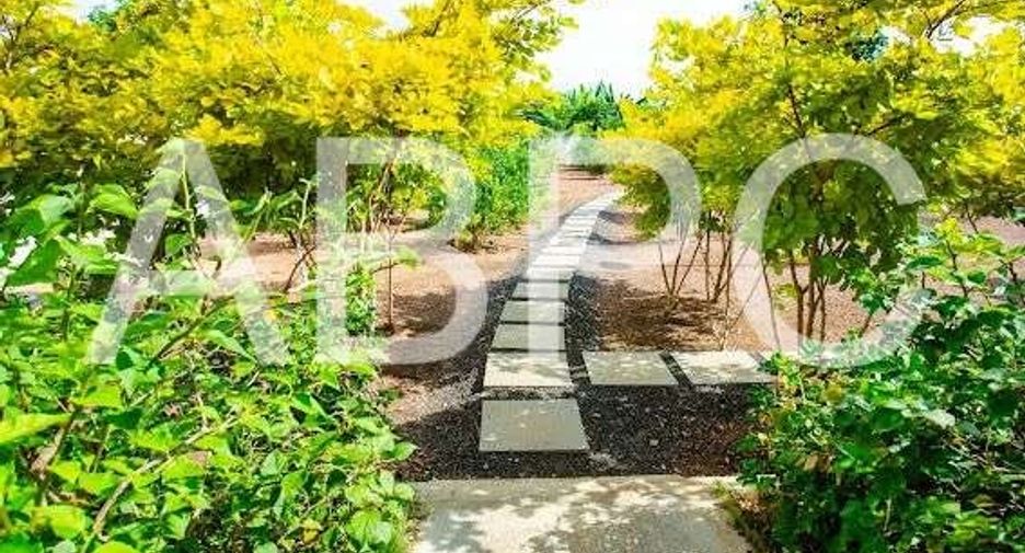 ขาย ที่ดิน ใน หนองกี่, บุรีรัมย์
