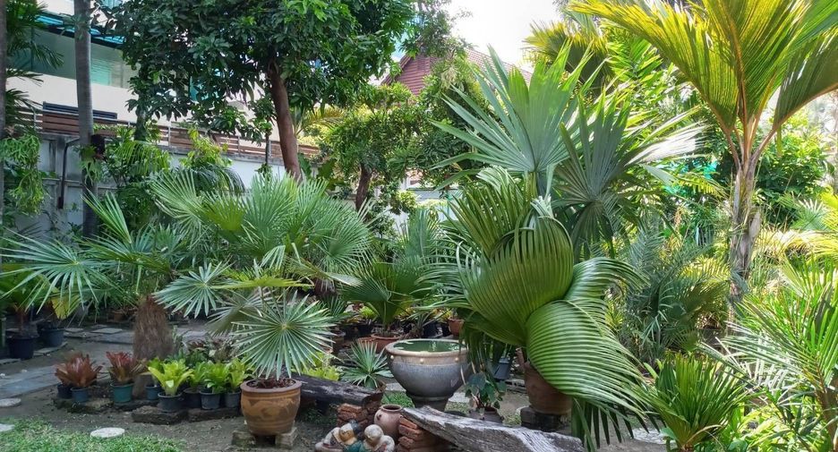 出租 2 卧室 独立屋 在 Khlong Toei, 曼谷