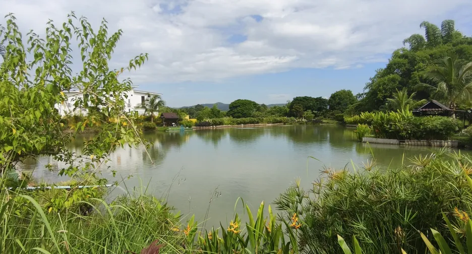 ขาย 3 ห้องนอน บ้านเดี่ยว ใน เมืองเลย, เลย