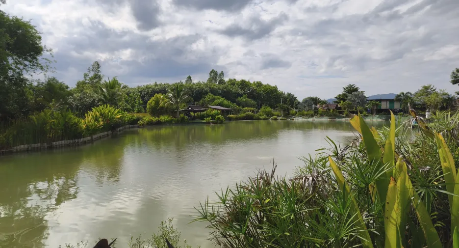 ขาย 3 ห้องนอน บ้านเดี่ยว ใน เมืองเลย, เลย