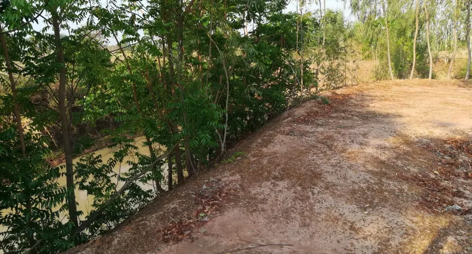 出售 土地 在 Tap Khlo, Phichit