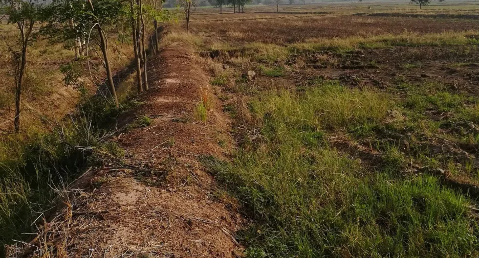 出售 土地 在 Tap Khlo, Phichit