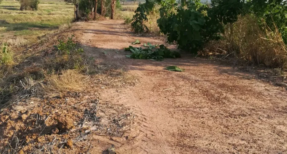 出售 土地 在 Tap Khlo, Phichit