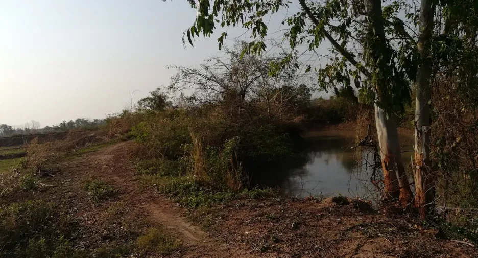 出售 土地 在 Tap Khlo, Phichit