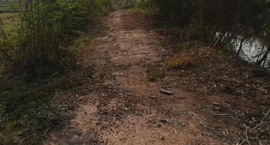 出售 土地 在 Tap Khlo, Phichit