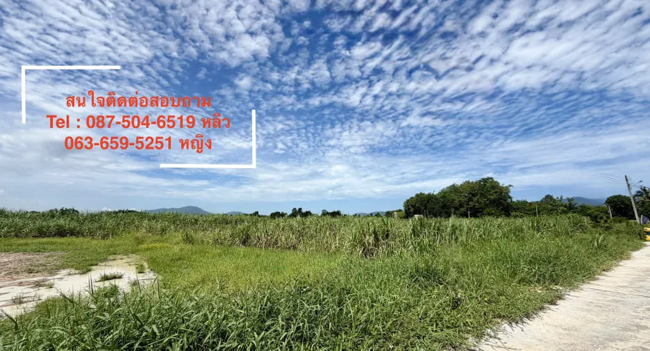 For sale land in Ban Bueng, Chonburi