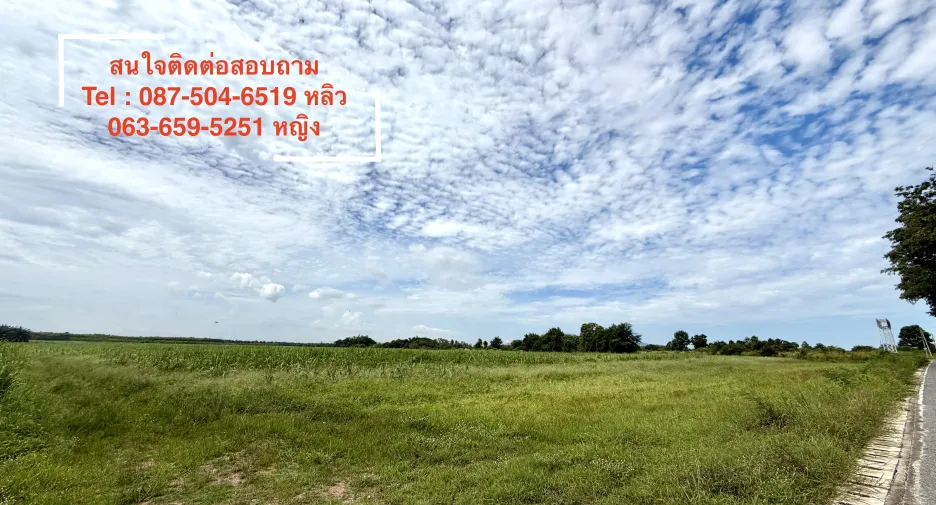 For sale land in Ban Bueng, Chonburi