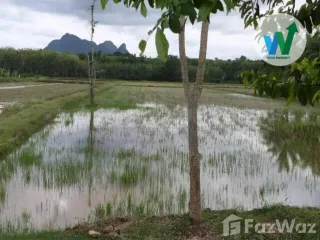 出售 土地 在 Khuan Khanun, Phatthalung