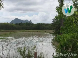 出售 土地 在 Khuan Khanun, Phatthalung