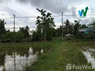 出售 土地 在 Khuan Khanun, Phatthalung
