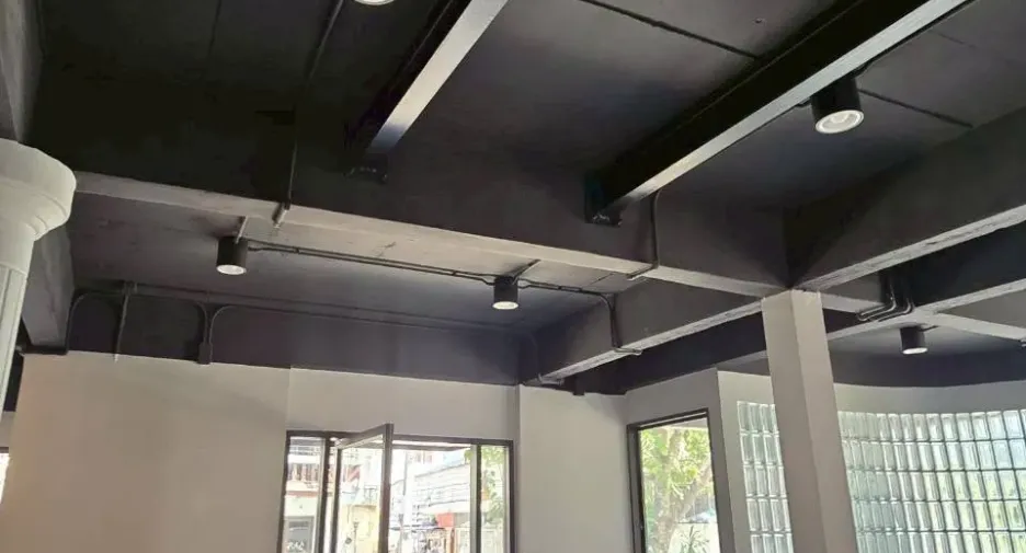 出租 公寓 独立屋 在 Phra Khanong, 曼谷