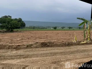 Terreno en venta en Sikhio, Nakhon Ratchasima