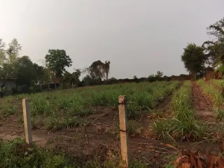 Terreno en venta en Sikhio, Nakhon Ratchasima