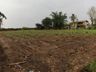 Terreno en venta en Sikhio, Nakhon Ratchasima