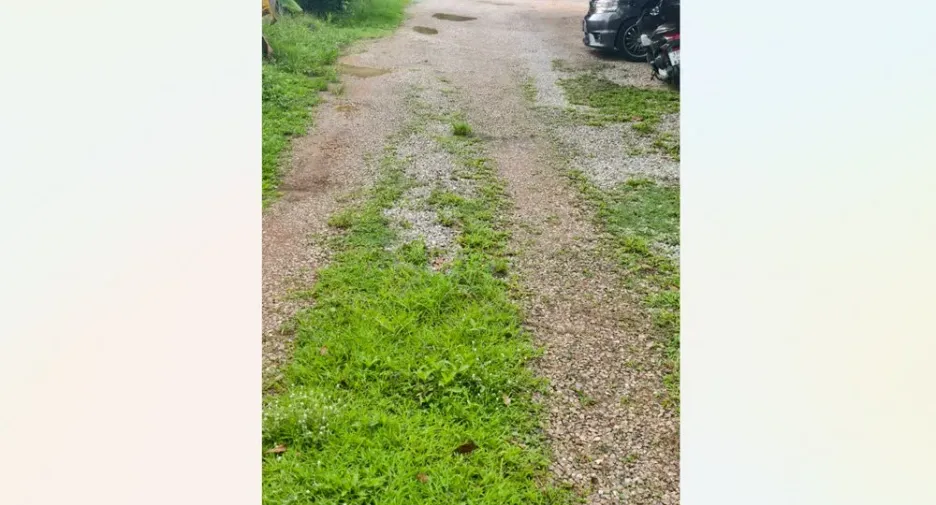 For sale land in Mueang Chumphon, Chumphon